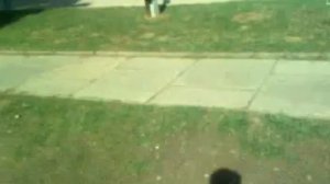 Смерть евреям?