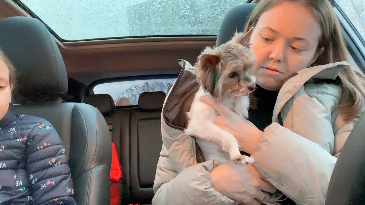 VLOG Едем домой Милка, ты жива!? 24-25.04.22 смотреть онлайн