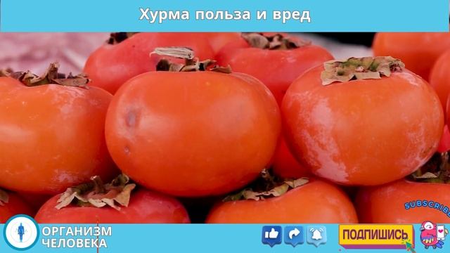 Не ешь ХУРМУ, пока не узнаешь ЭТО! Хурма польза и вред