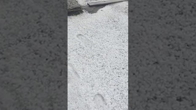 Санкт-Петербург. 22.07.2017 смотреть онлайн