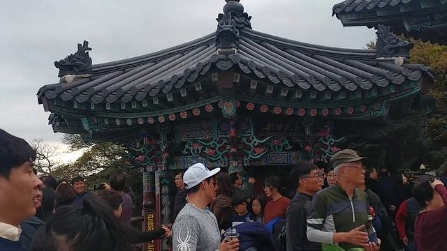 Остров черепахи смотреть онлайн