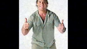 Tribute to Steve Irwin