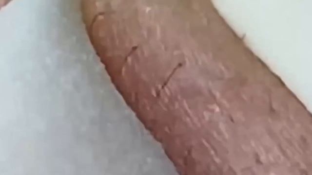 تلميع وتنظيف الجلد الطبيعي المدور NASA687