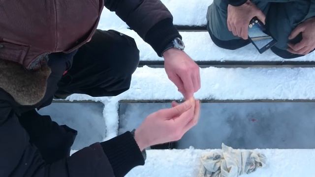 Форель за бок смотреть онлайн