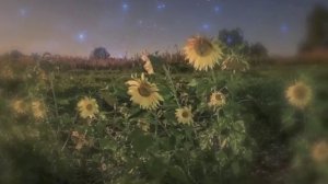 Ноченька лунная. Исполнитель: Владимир Оллыкайнен