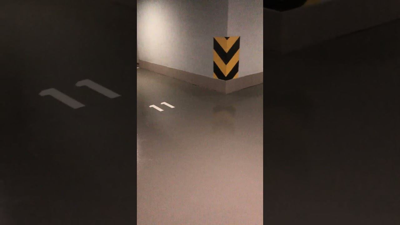 Промышленные полы для подземного паркинга смотреть онлайн