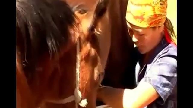 Динара Акулова Жайлоодо смотреть онлайн