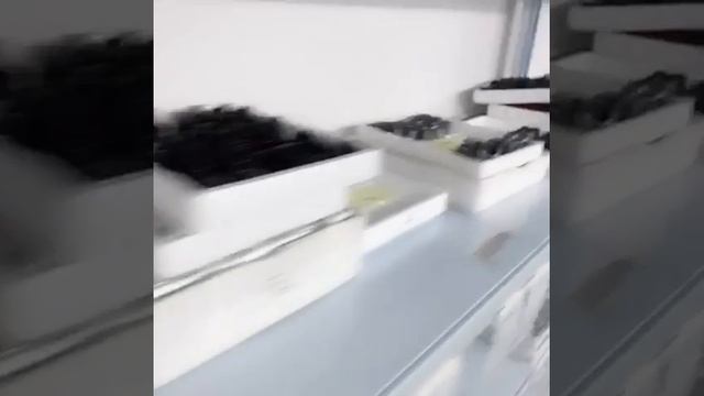 Tattoo Pen смотреть онлайн