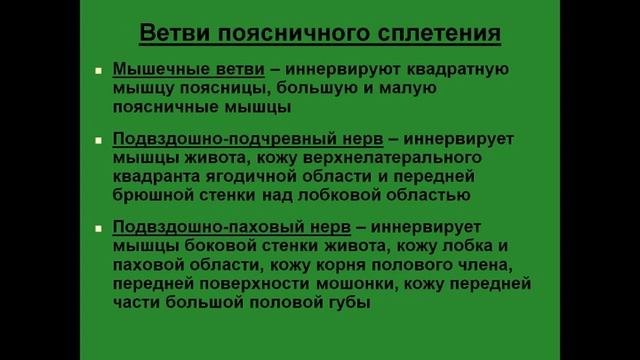 Спинномозговые нервы. Поясничное сплетение смотреть онлайн