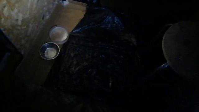 14.06.23.(2ч)Добавка к пище котятам,криветка,планктон мизида!Отдам котят!+79241232444Стороженко В.В смотреть онлайн
