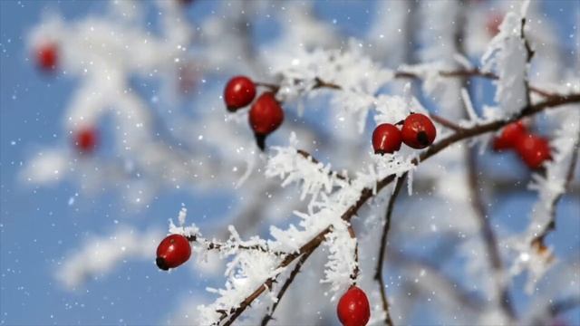 Спокойная Музыка. Зимний Пейзаж 2. Успокаивающая Атмосфера. смотреть онлайн