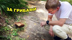 ВЛОГ В лес за грибами! 12 августа 2018