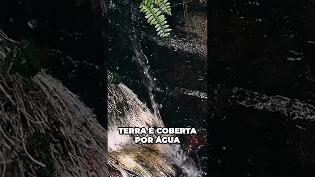 CORPO HUMANO MATA PULGA DE CACHORRO #shortvideo смотреть онлайн