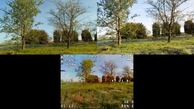 Runcam Thumb | Runcam Thumb Pro | Foxeer Razer Mini