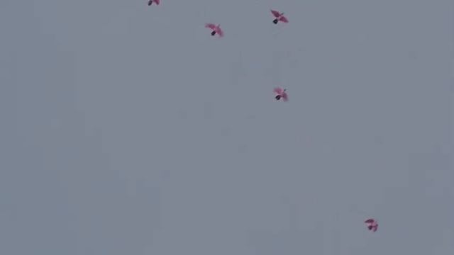 индопакистанцы