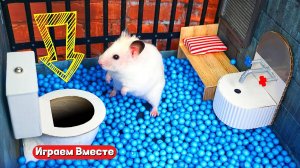 ХОМЯК ВЫБИРАЕТСЯ ИЗ СЕКРЕТНОЙ ХОМЯЧЕЙ ТЮРЬМЫ ! Играем ВМЕСТЕ ! Помогаем выбраться из лабиринта !