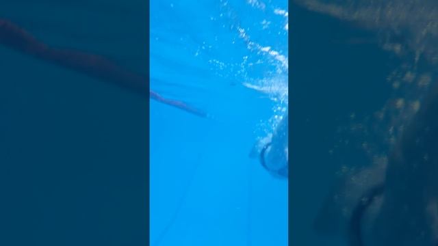 13 апрель 2024г. Под водой. смотреть онлайн