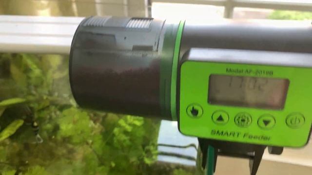 Máy cho cá ăn tự động SMART FEEDER AF 2019B смотреть онлайн