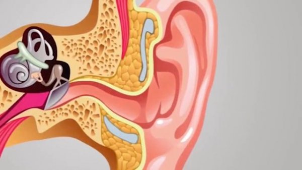 Now on Kickstarter: Bocoolife Ear Cleaner With Irrigation System