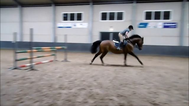 Barn Vlog: Jumping raws (up to 105/110 cm) смотреть онлайн