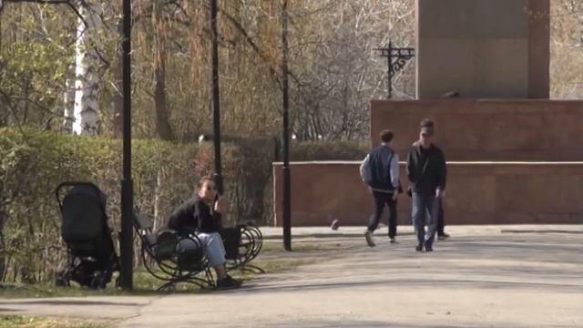 В области зарегистрировали 31 укус клещами смотреть онлайн
