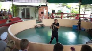 Змеиная ферма    Тайланд 2016г  Паттайя