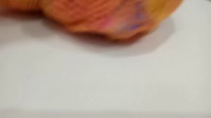 осьминог какает в туалете и учит других