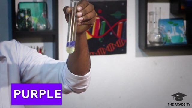 Protein Test|Biuret|ප්රෝටින් පරික්ෂාව|The Academy SL| science practicals in sinhala |Grade 11/10/7 смотреть онлайн