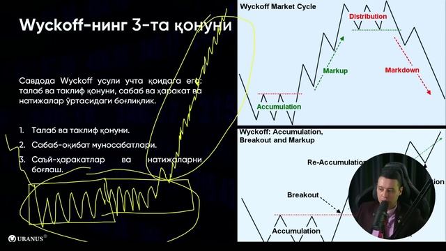 WYCKOFF  Strategiyasi!
