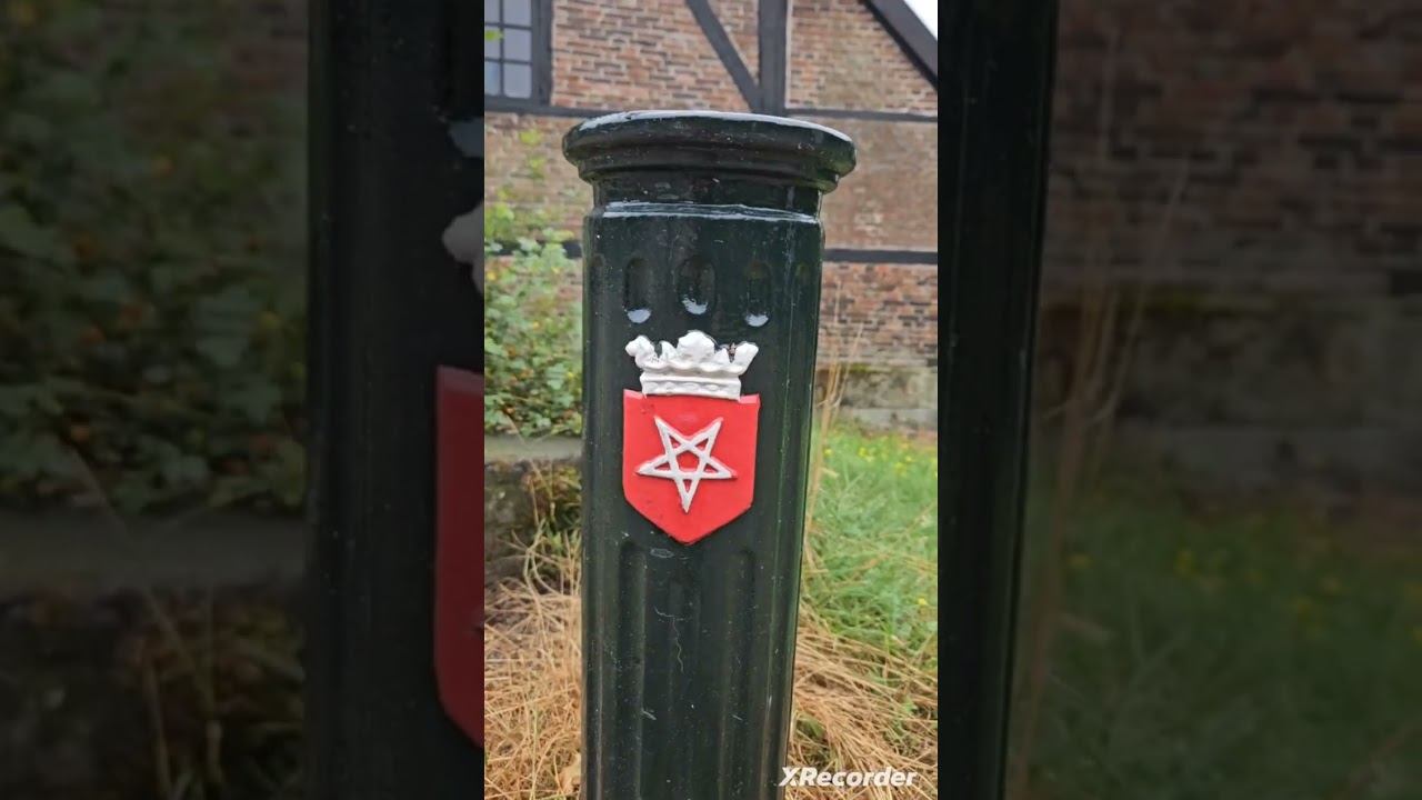 8 сентября 2024 г.