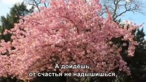 Караоке.Под окном черемуха колышется.Репост.