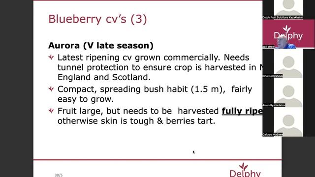 Delphy: Ягодные культуры (14.03.2022) смотреть онлайн