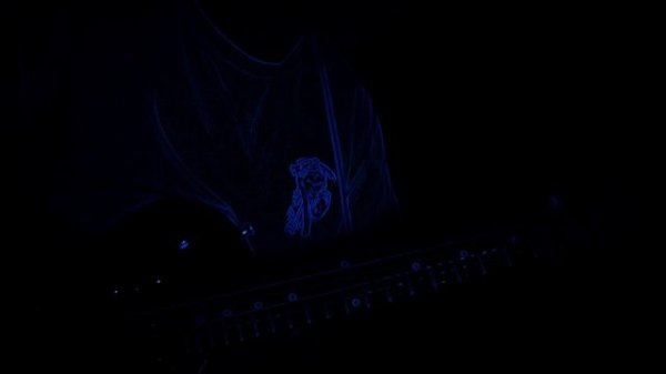 neverlove-без лифака cover