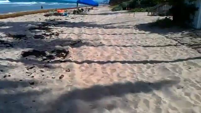 Florida Sevastopol смотреть онлайн