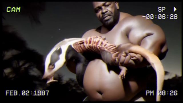 The Legend of Gumbo Slice (Found Footage of Man Kicking Alligator in the Swamp) смотреть онлайн