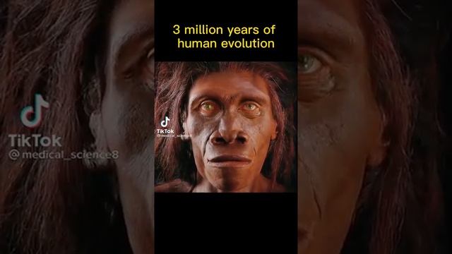 Human Evolution / After 3 Million Years смотреть онлайн
