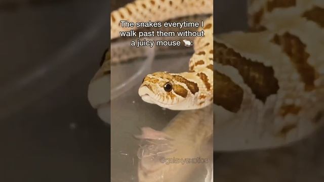 Side eyeeeee смотреть онлайн