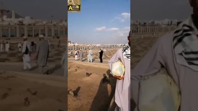 Qabrdan Maktub 3-qism