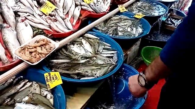 2020 11 17 1433 Turkey, Istanbul, fish on market смотреть онлайн