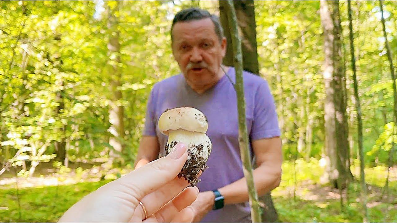 VLOG Собираем грибы! Белые, маслята, сыроежки, Тихая охота, Грибной сезон в Подмосковье 13-14.08.21 смотреть онлайн