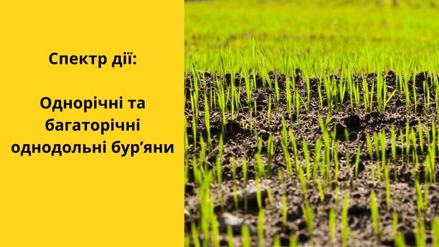 Гербіцид Норвел Екстра 🍂 , опис препарату 🍂 смотреть онлайн
