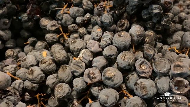Podere Castorani: Masters of Abruzzo, Italy смотреть онлайн