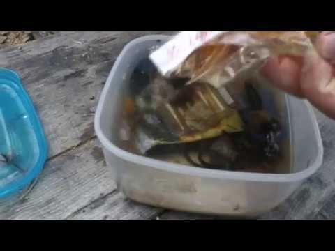 Тайник на горе Медведь Камень.  Геокешинг. Rutrail