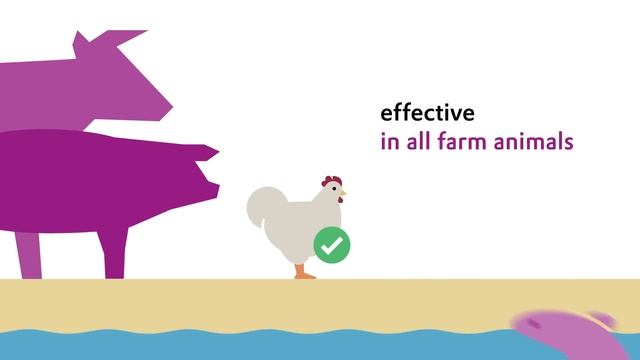 GuanAMINO® - The creatine source that ensures optimal nutrient utilization | Evonik смотреть онлайн