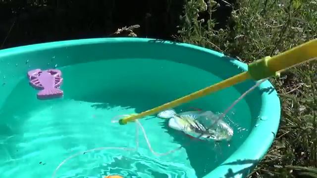 Динозавры игрушки динозавры ловят рыбу.Видео.Dinosaurs toys.Videos смотреть онлайн