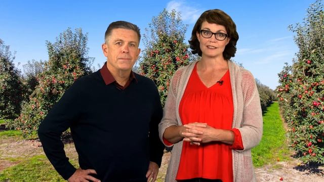 Apple Picking смотреть онлайн