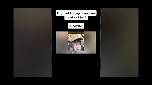 Monkey Animals SOO Cute! AWW Cute baby animals Videos Compilation CUTEST moment of the animals #640 смотреть онлайн