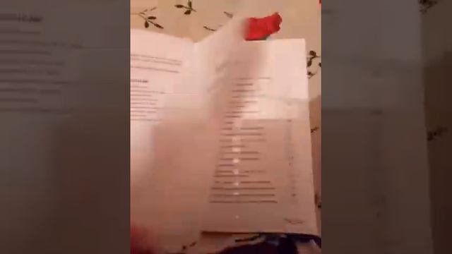 Книга Лола в свадебном путешествии смотреть онлайн