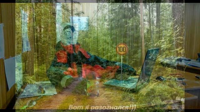 Приколы братьев меньших, и старших!) смотреть онлайн