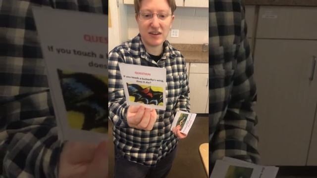 Live Butterfly Class! смотреть онлайн